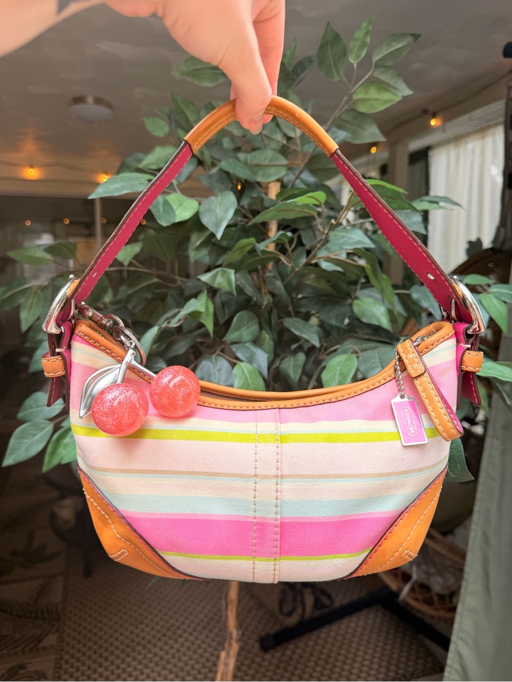 Coach Soho Small Stripe Hobo Bag